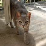 Charming With Garden