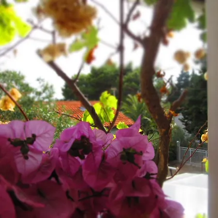 Charming With Garden