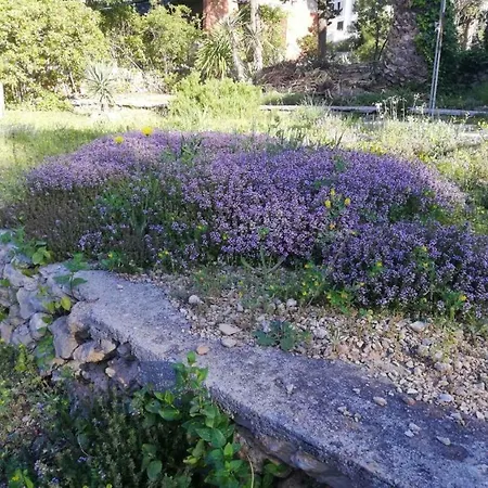 Appartamento Charming With Garden