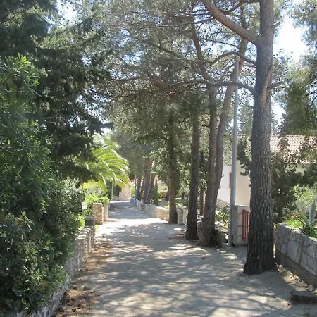 Apartment Charming With Garden