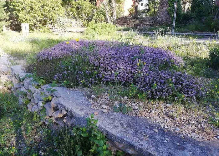 Appartamento Charming With Garden